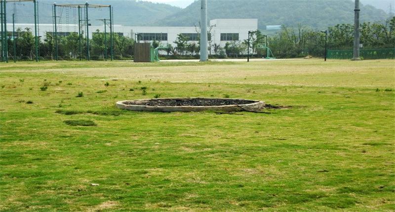 1593163355104300.jpg 1488774573688779.jpg