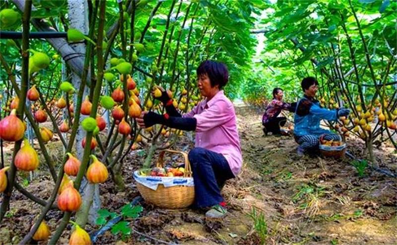 �o(w��)������ժ