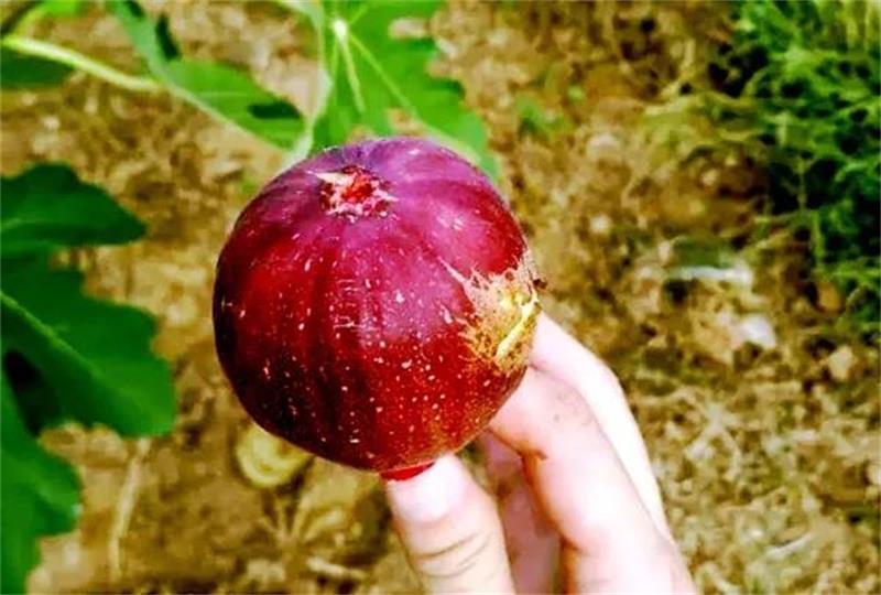 ��ժ�w�(y��n)