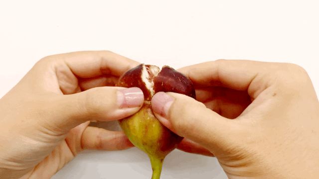 ˮ����ժ���(d��ng)