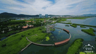 1596161544439784.gif 微信圖片_20200731095919.gif