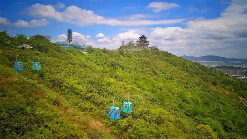 1596161892532862.jpg 微信圖片_20200731101748.jpg