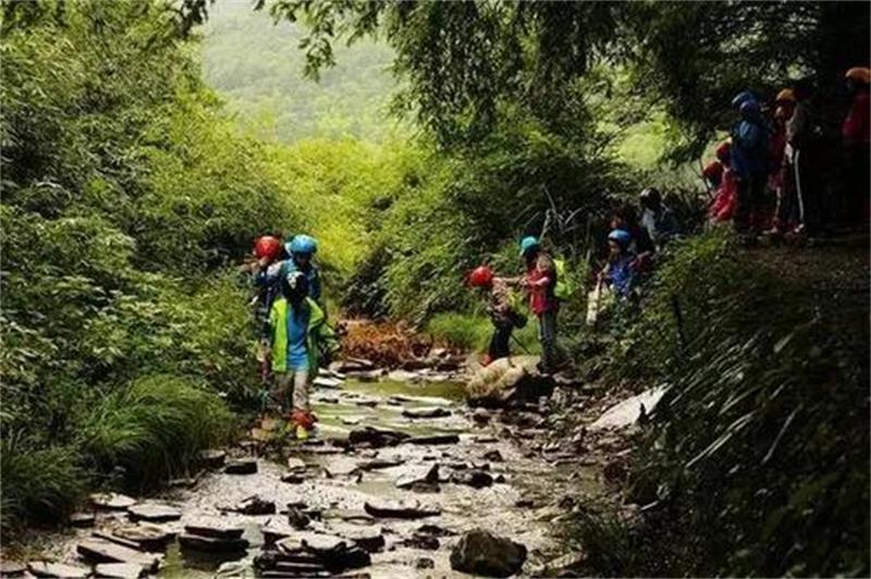 1596257773103069.jpg 微信圖片_20200801125540.jpg