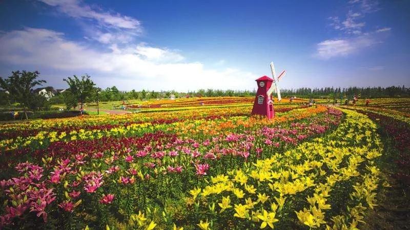 1596257901661699.jpg 微信圖片_20200801125751.jpg