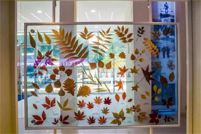 1596257948928539.jpg 微信圖片_20200801125840.jpg