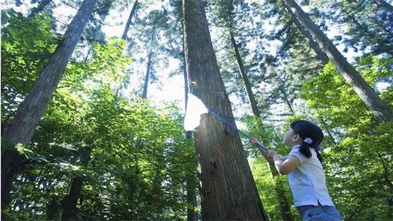 1596258005308580.jpg 微信圖片_20200801125934.jpg