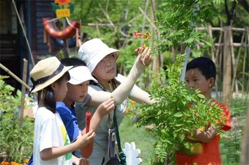 1596258039830341.jpg 微信圖片_20200801130013.jpg