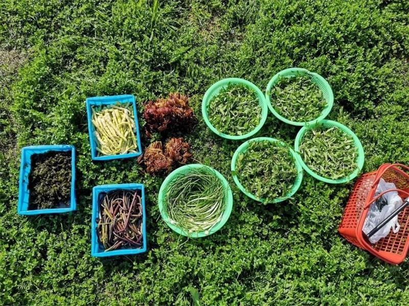 1596258398712477.jpg 微信圖片_20200801130612.jpg