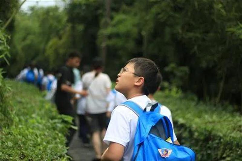 1596258514437202.jpg 微信圖片_20200801130805.jpg