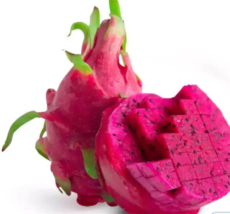 太湖火龍果采摘 火龍果采摘