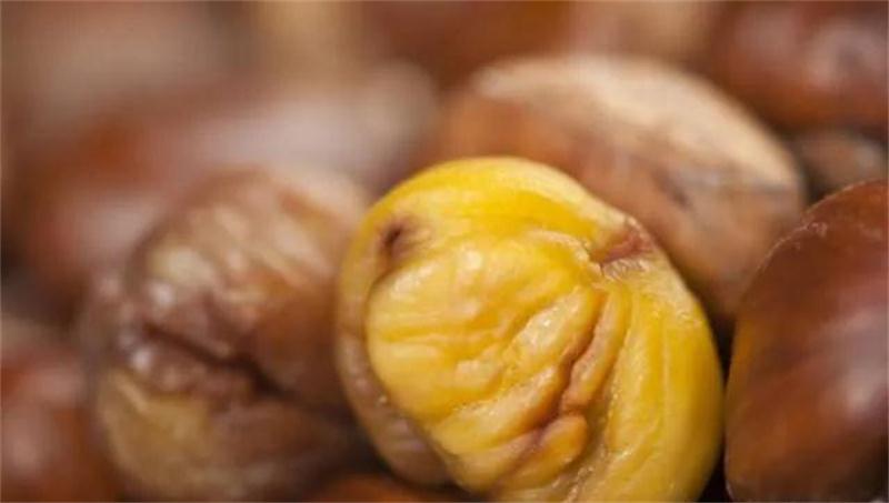 板栗采摘體驗 西山板栗采摘