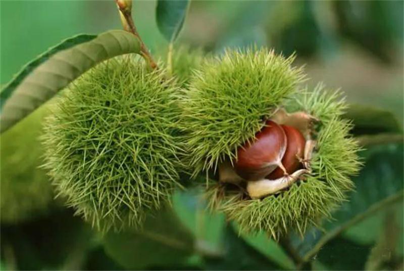 1597888736955047.jpg 微信圖片_20200820095646.jpg