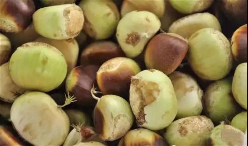 1597889067735800.jpg 微信圖片_20200820095918.jpg