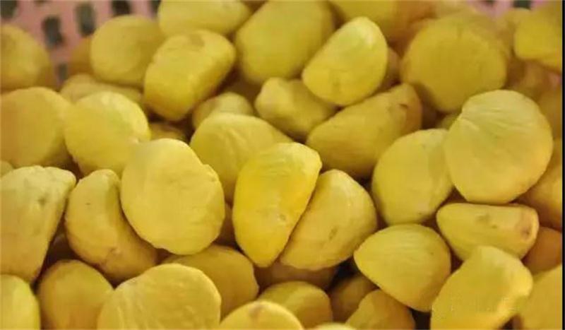 1597889192763986.jpg 微信圖片_20200820100434.jpg