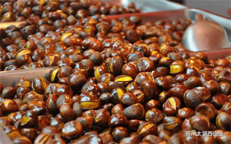 太湖板栗體驗 板栗采摘攻略