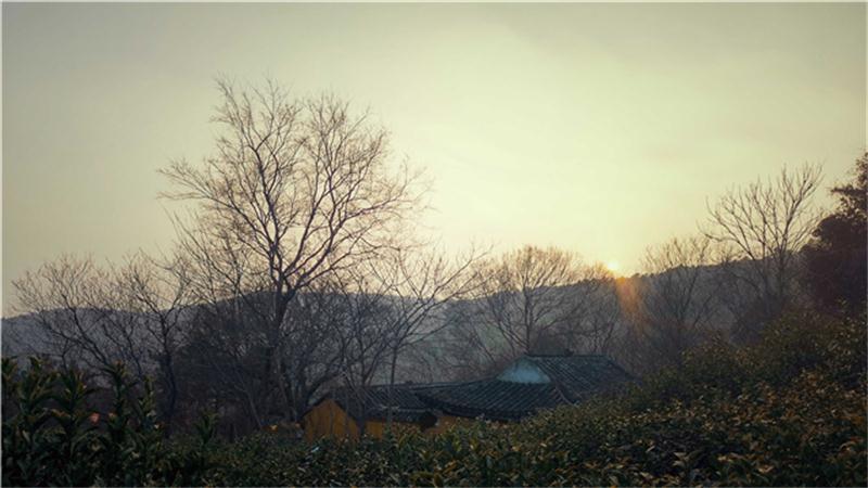 蘇州西山團建攻略 太湖西山.jpg