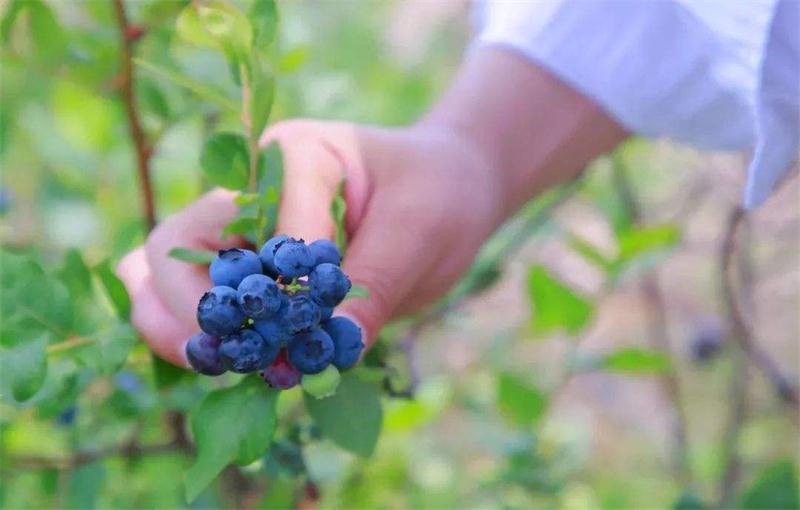 �{(l��n)ݮ��ժ�w�(y��n)