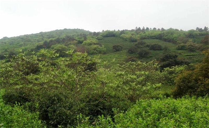 ͽ���F(tu��n)����·