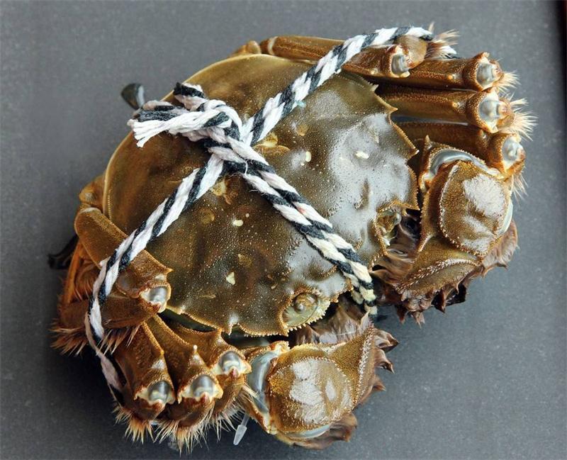 ̫�����lз