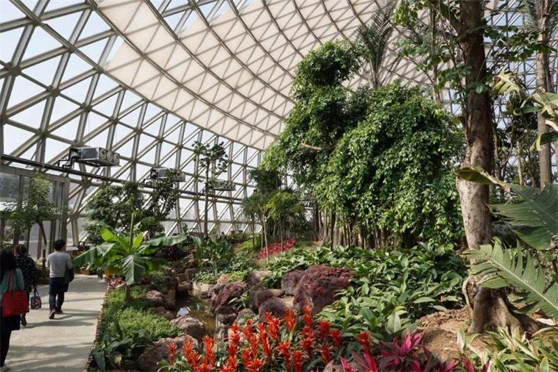 靈樹線徒步攻略 徒步活動攻略