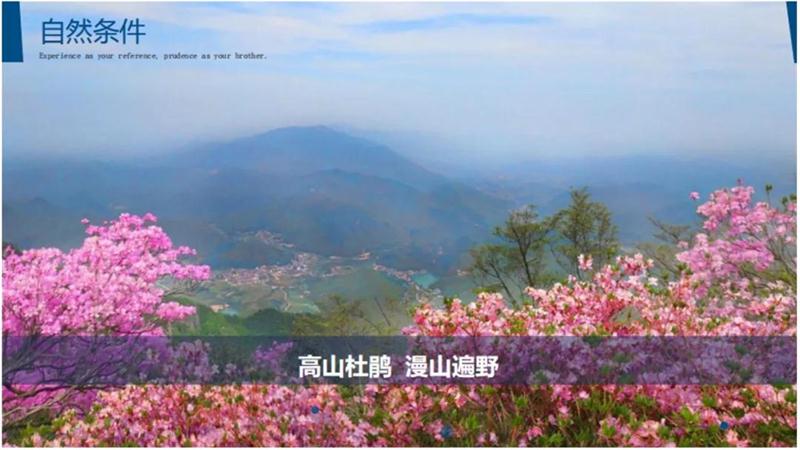 1602731850872383.jpg 安吉美景.jpg