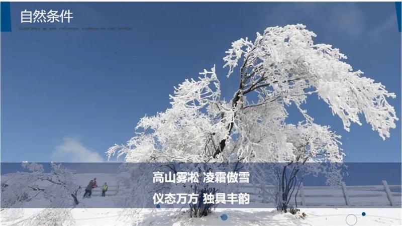 1602731965487550.jpg 安吉基地.jpg