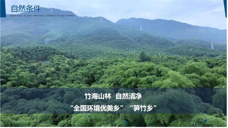 1602732029589793.jpg 安吉竹海.jpg