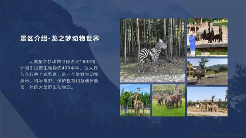 1602741186329064.jpg 動物世界.jpg