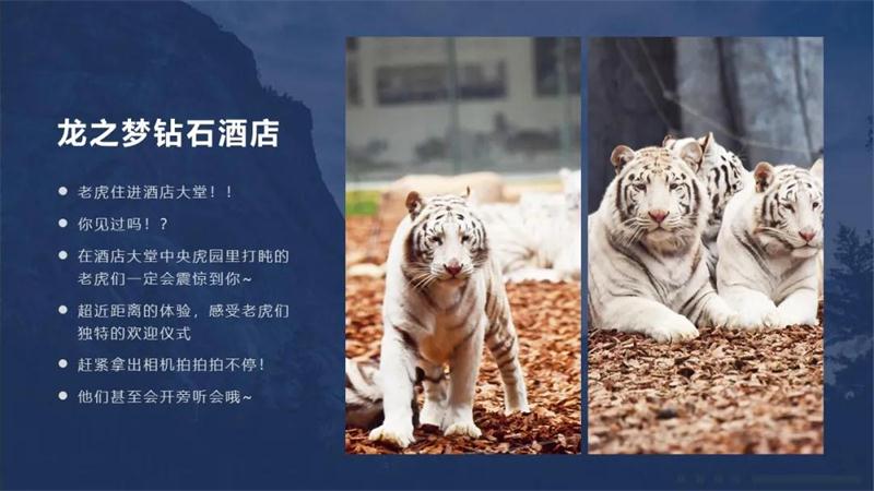 1602742272108724.jpg 18105d6be8084360aab9e43476f0e331.jpg