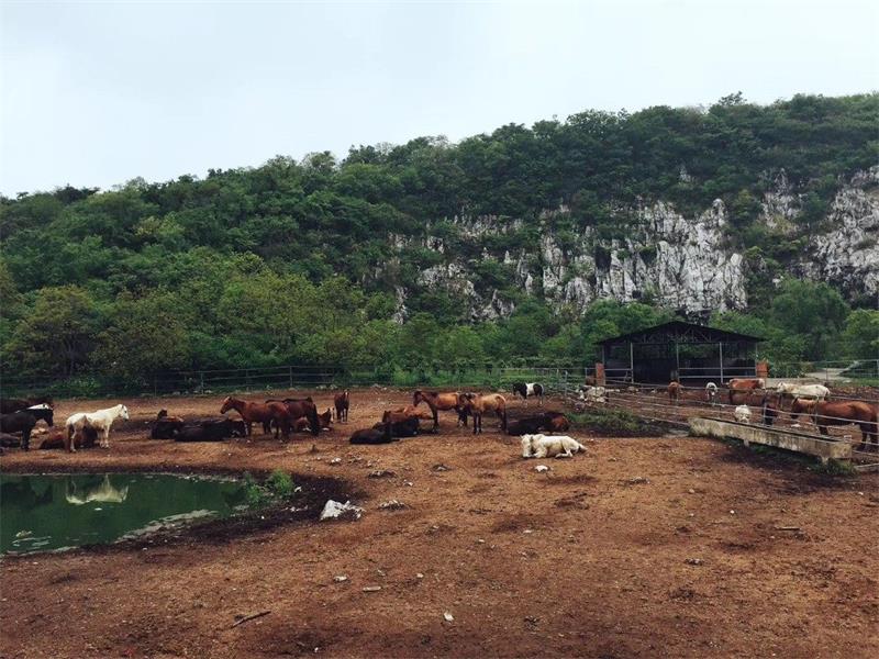 太湖團建攻略 牛仔度假村團建