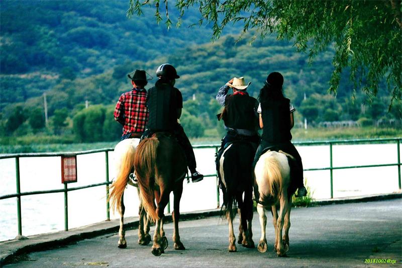 太湖團建項目 團建項目