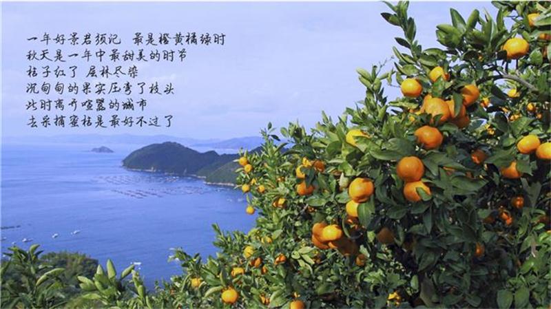 團建策劃 團建活動攻略