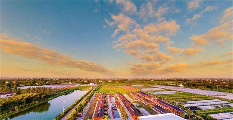 1603351572115338.jpg timg (1).jpg