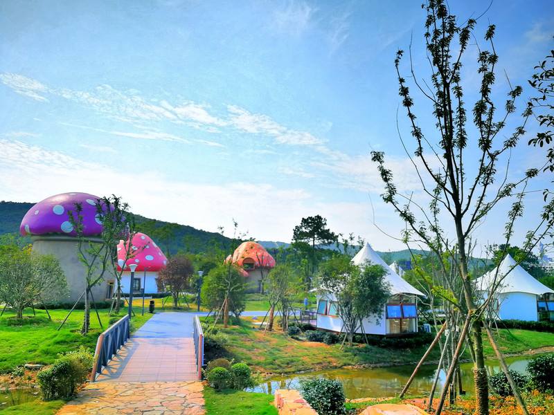 1603351639450930.jpg timg (4).jpg