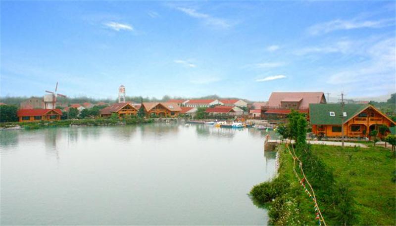 1603351752807964.jpg timg (1).jpg