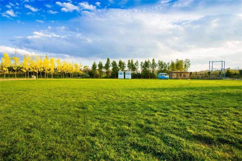 ��������ΈF(tu��n)��