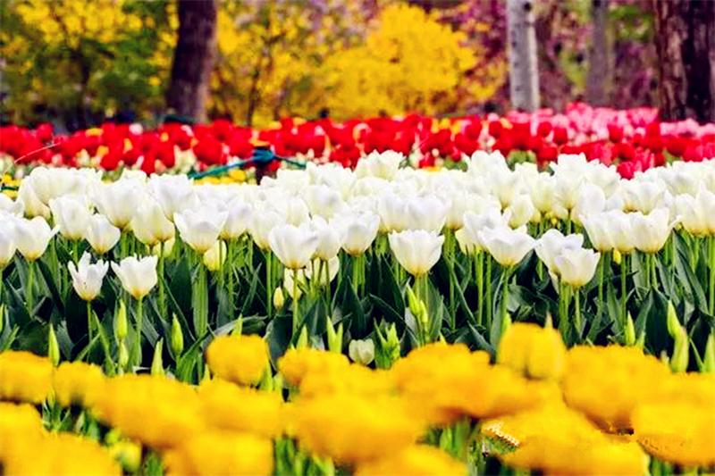 白馬澗旅游攻略 白馬澗旅游團建.jpg