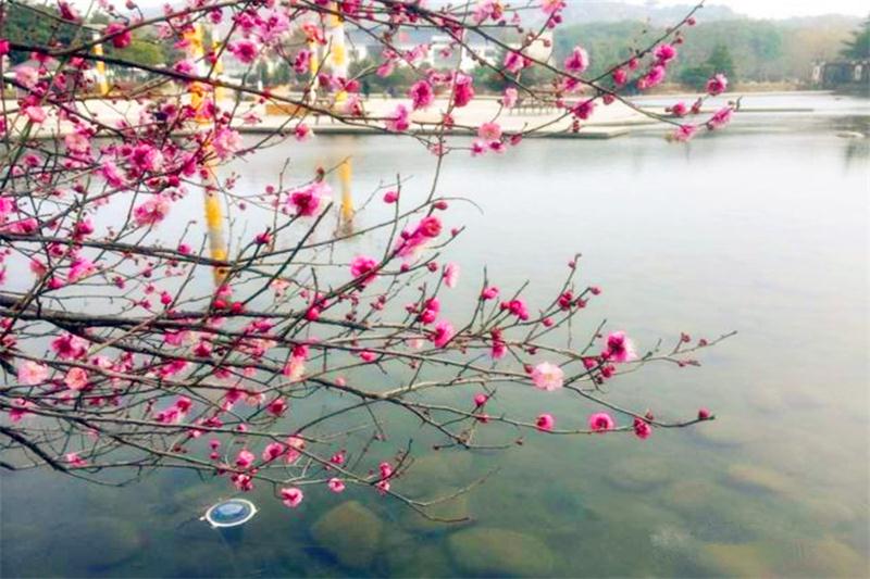 蘇州白馬澗旅游攻略 白馬澗景區(qū)