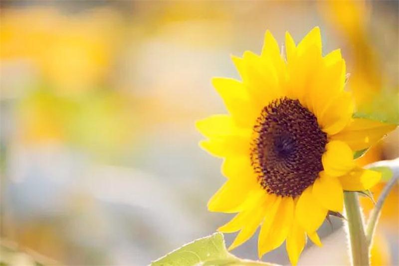 白馬澗景區(qū) 白馬澗景區(qū)