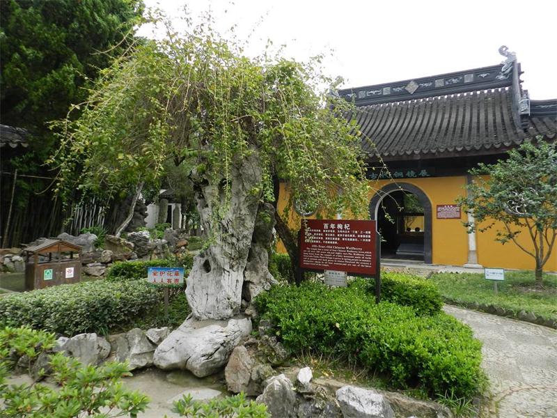 甪直旅游活動 甪直旅游景區(qū)