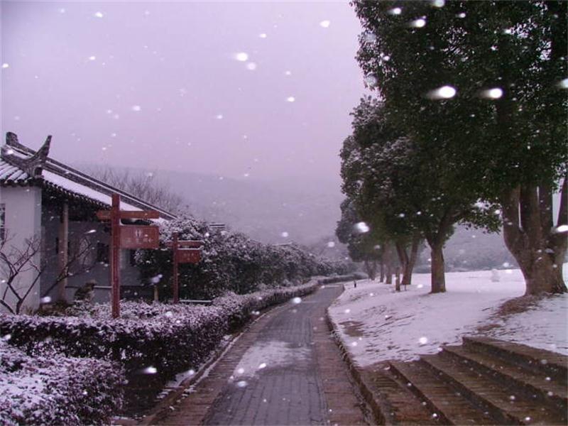 1604386998137710.jpg 雨花勝境