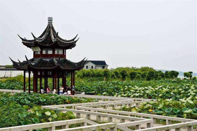 1604387839400281.jpg timg (4).jpg