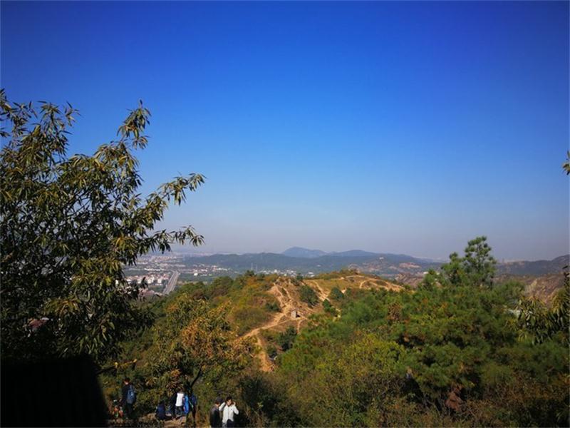 1604811905104868.jpeg 靈白線.jpeg