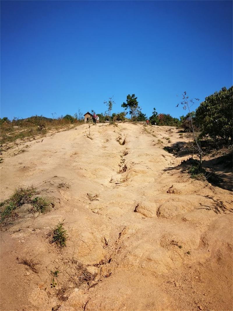 1604812211384058.jpg 靈巖山景區(qū).jpg