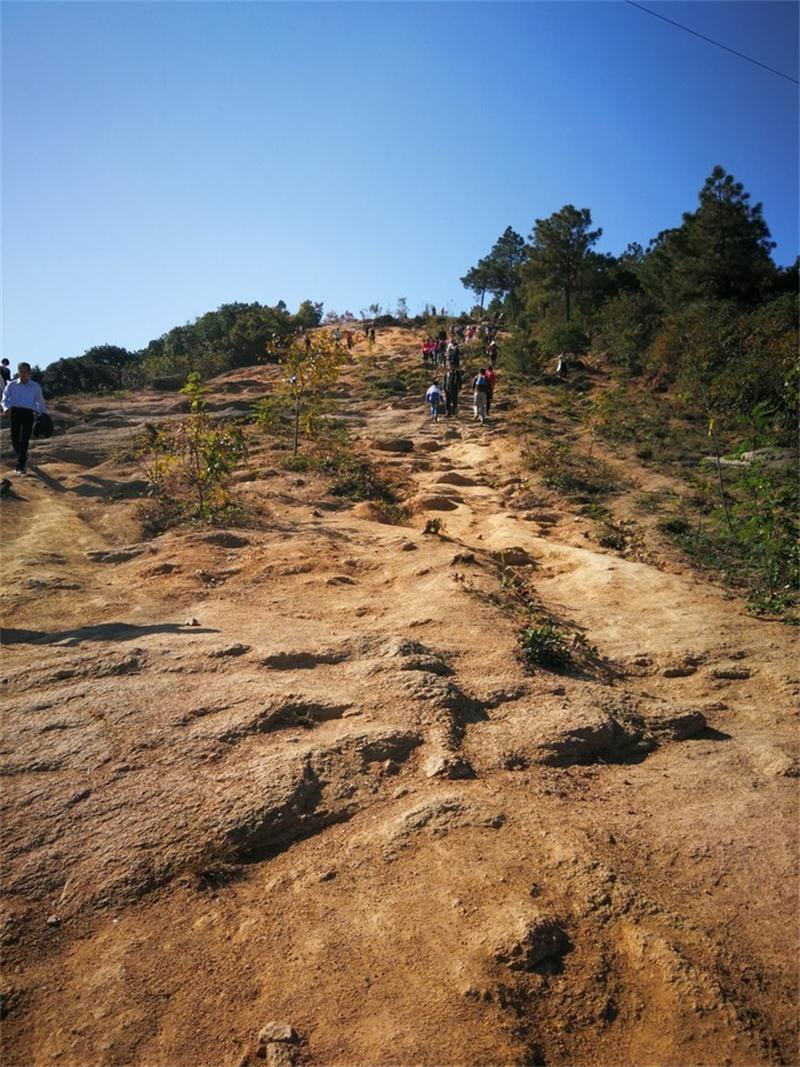 1604812283796475.jpg 靈白線徒步.jpg