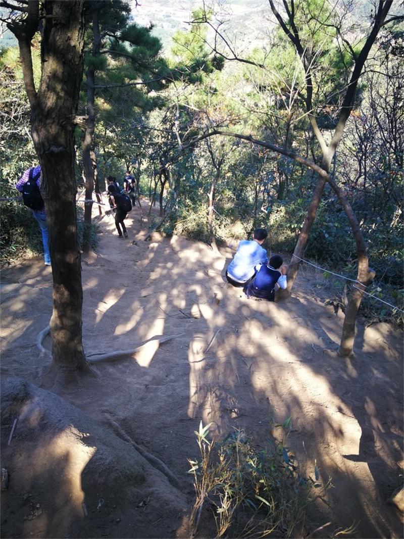 1604812412120187.jpg 靈白線徒步.jpg