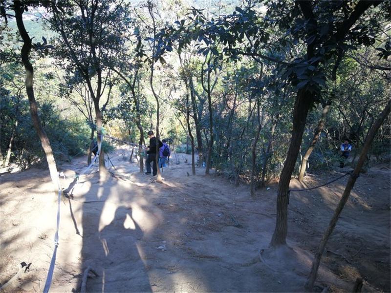 1604812467353118.jpg 靈白線徒步.jpg