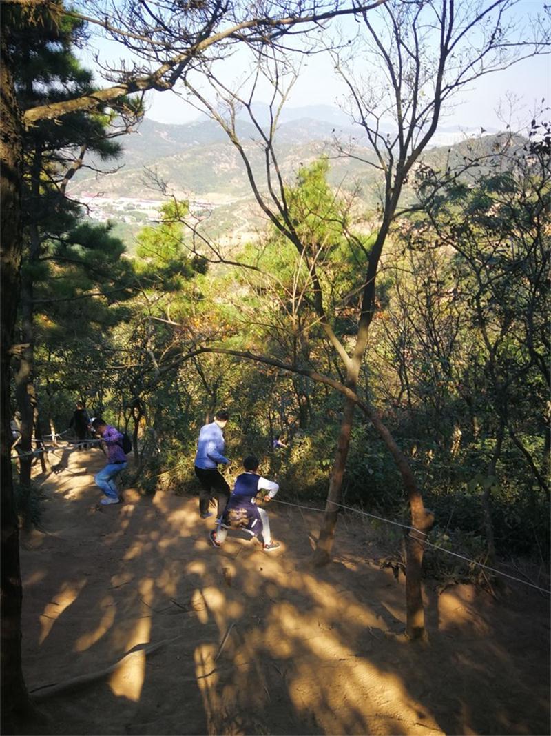 1604812532131660.jpg 靈白線徒步活動.jpg