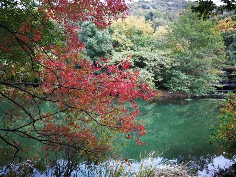 1604813352476189.jpeg 白馬澗景區(qū).jpeg