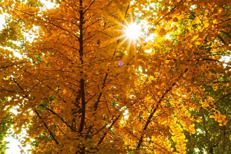 太湖西山旅游攻略 太湖西山旅游團(tuán)建